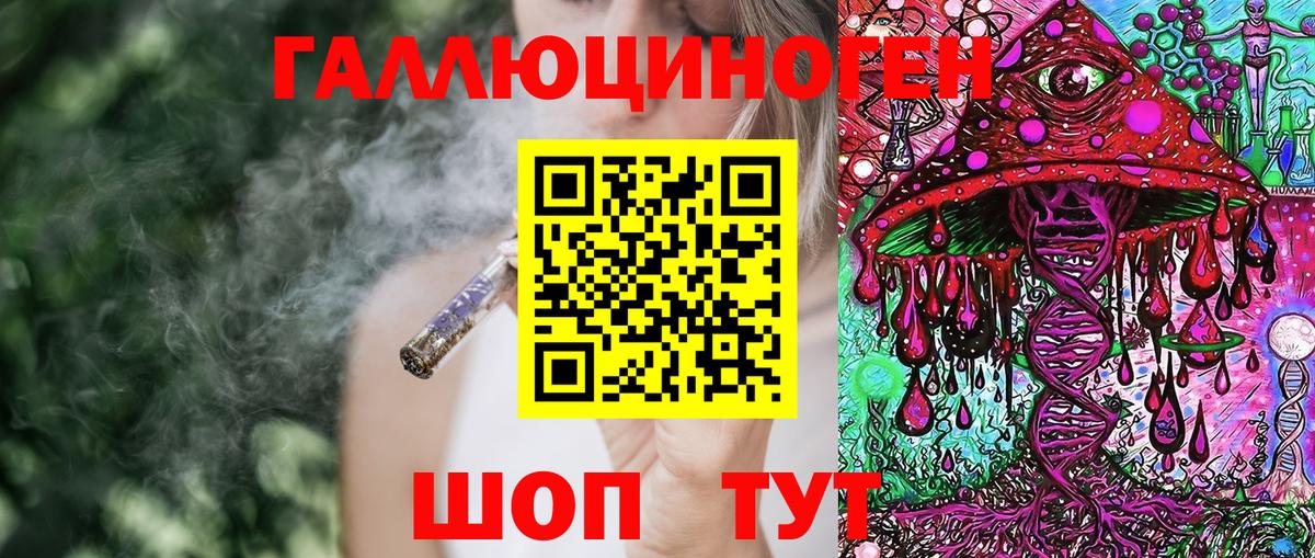 Галлюциногенные грибы Cubensis Гай